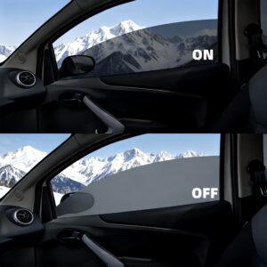Gray Smart Tint – Balanced Privacy and Visibility